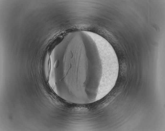 X0000110990644200907311011
