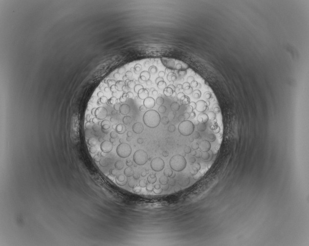 X0000110990646200907311011