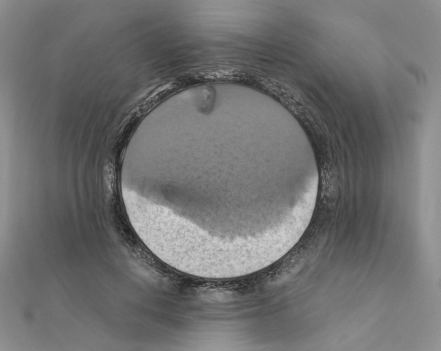 X0000110990648200907311011