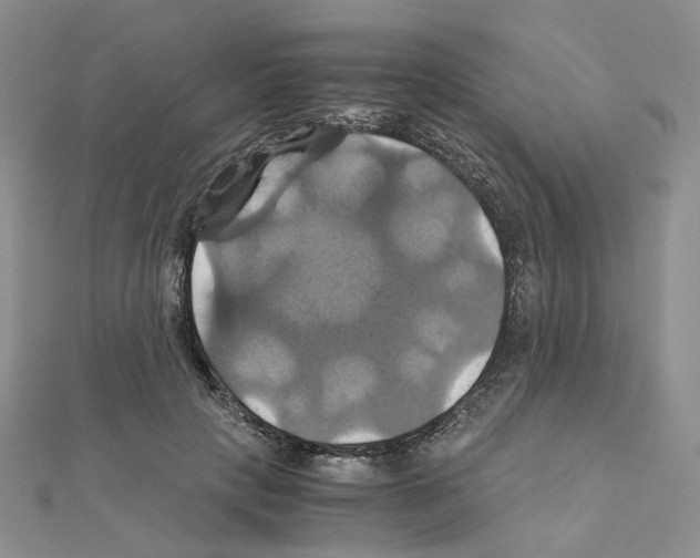 X0000110990649200907311011
