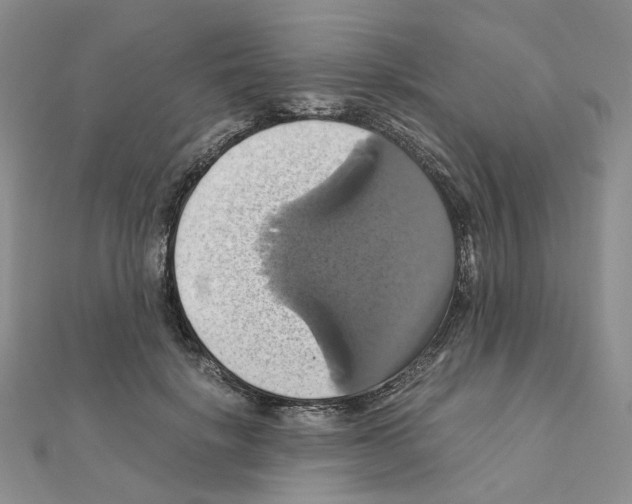 X0000110990652200907311011