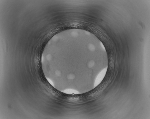 X0000110990653200907311011