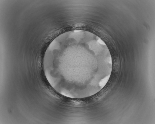 X0000110990654200907311011