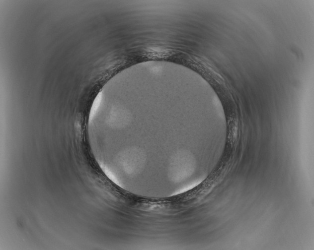X0000110990655200907311011