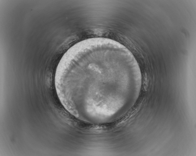 X0000110990656200907311011