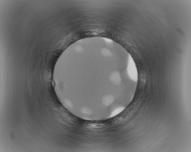X0000110990657200907311011