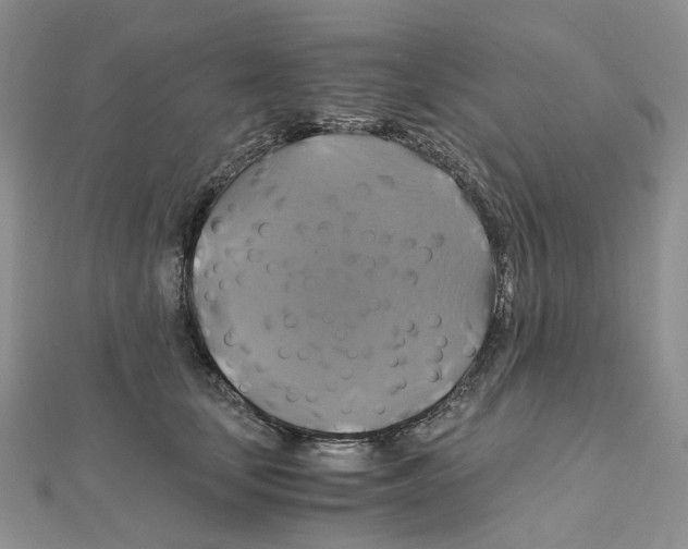 X0000110990659200907311011