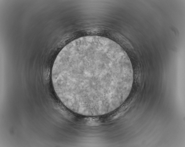 X0000110990660200907311011