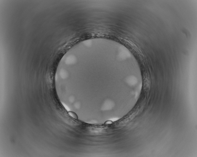 X0000110990661200907311011