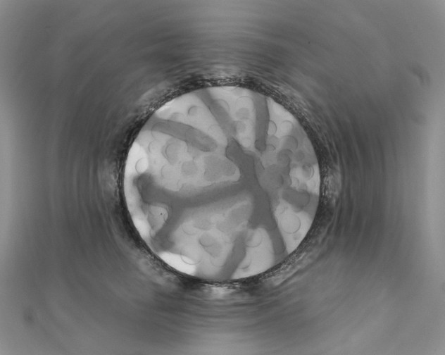 X0000110990662200907311011