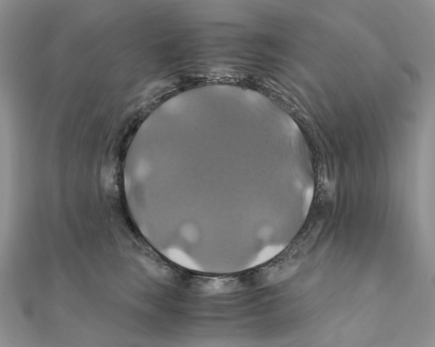 X0000110990663200907311011