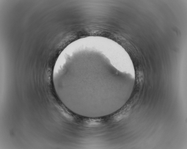 X0000110990664200907311011