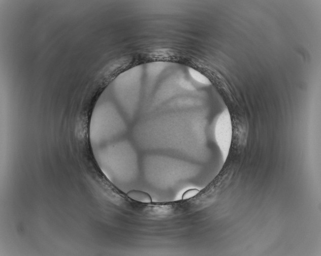 X0000110990665200907311011