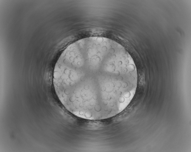 X0000110990666200907311011