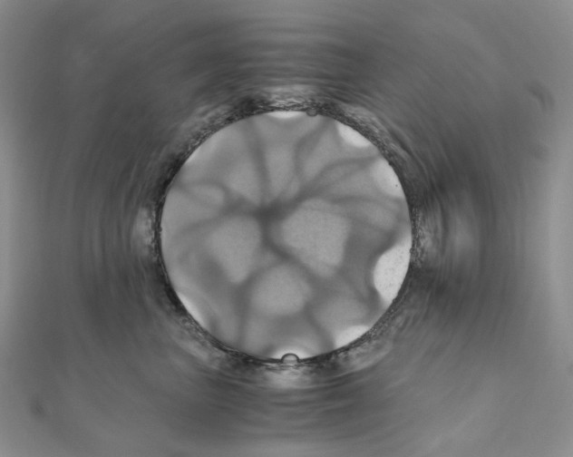 X0000110990667200907311011