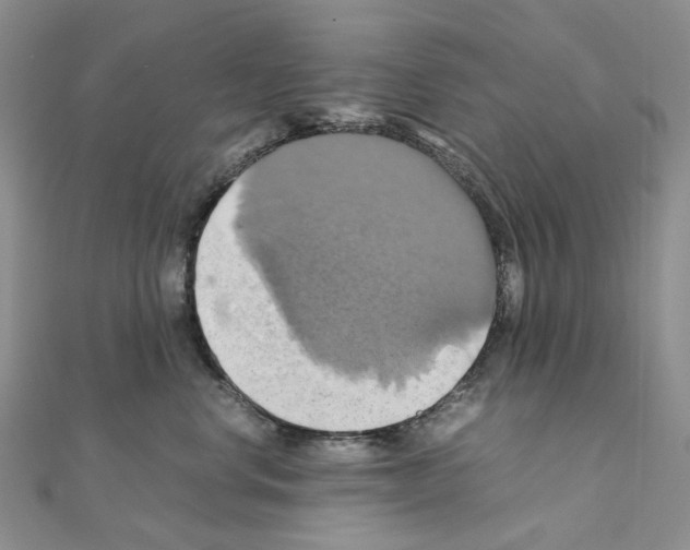 X0000110990668200907311011