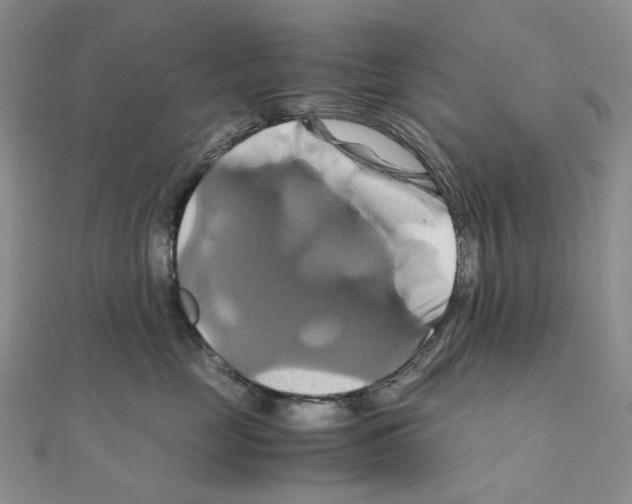 X0000110990669200907311011