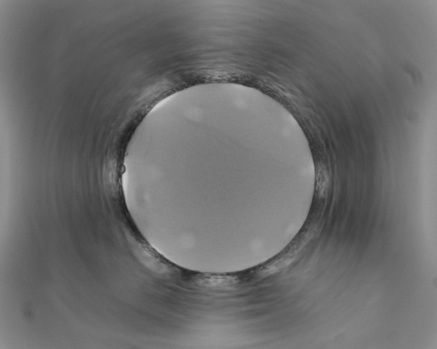 X0000110990670200907311011