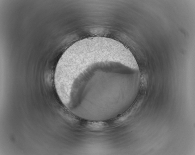 X0000110990671200907311011