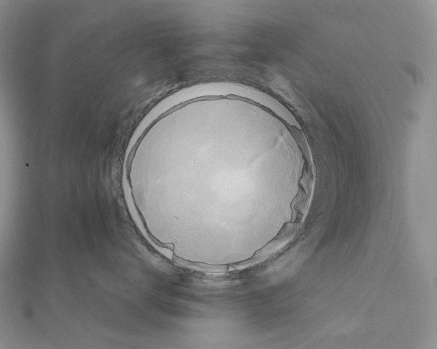 X0000110990672200907311011