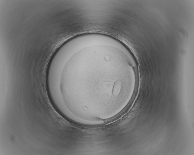 X0000110990673200907311011