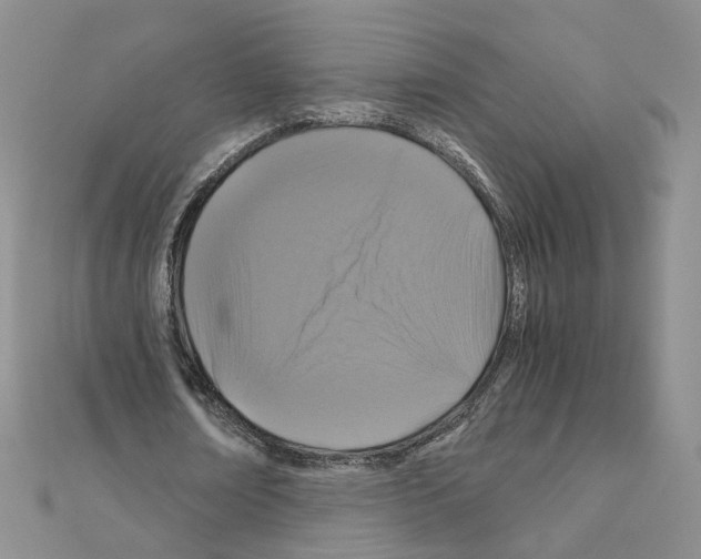 X0000110990674200907311011
