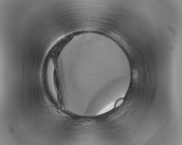 X0000110990676200907311011