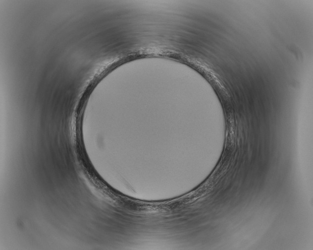 X0000110990678200907311011