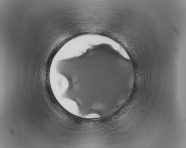 X0000110990679200907311011