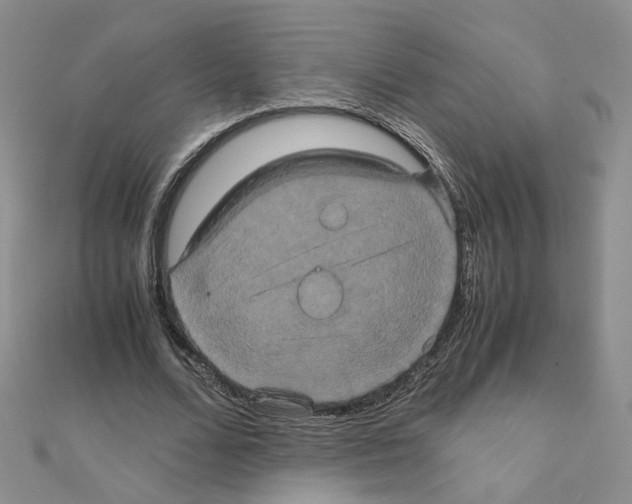 X0000110990680200907311011