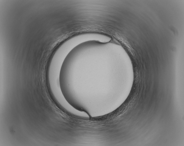 X0000110990681200907311010