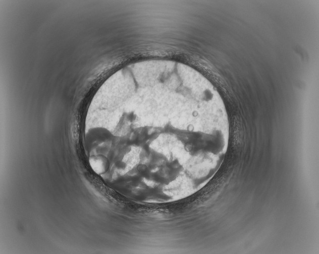 X0000110990683200907311010
