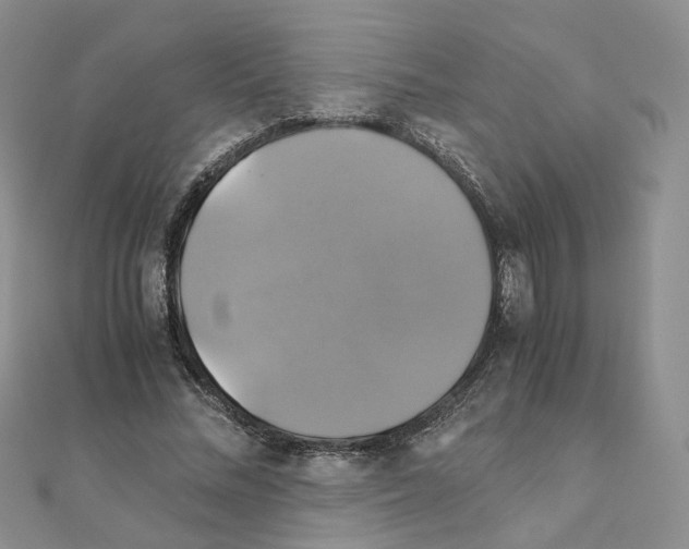 X0000110990684200907311010