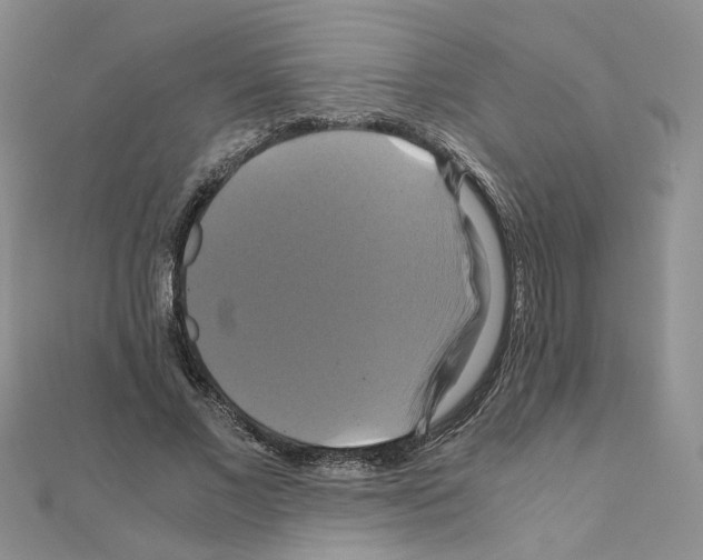 X0000110990685200907311010