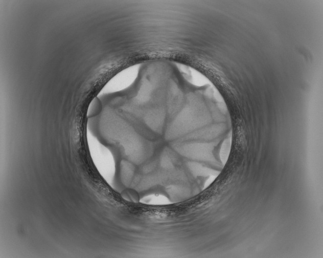 X0000110990687200907311010