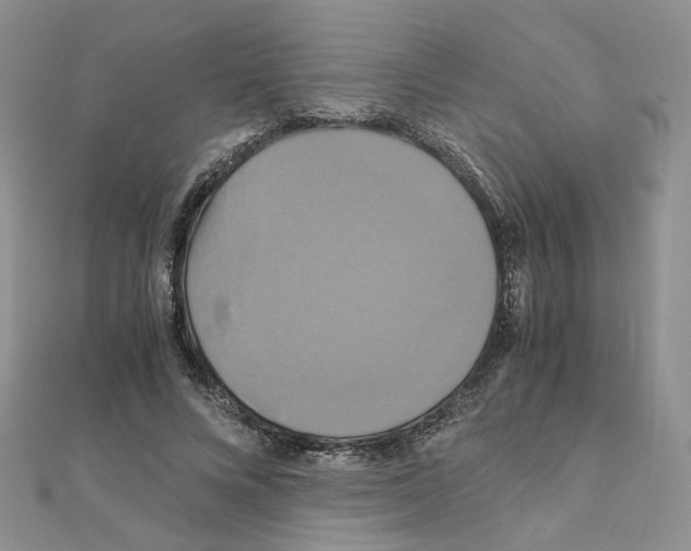 X0000110990688200907311010