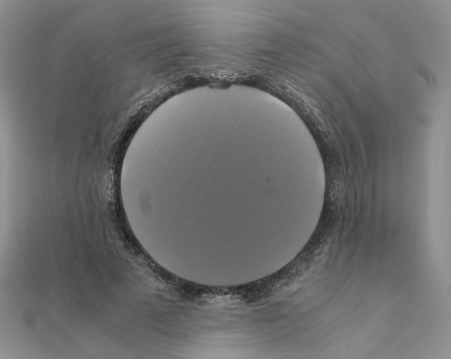 X0000110990689200907311010