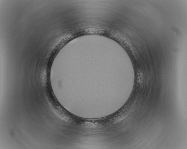 X0000110990690200907311010