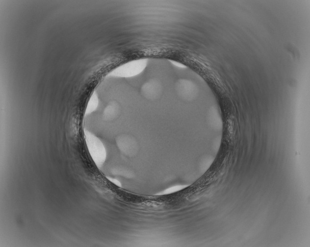 X0000110990691200907311010