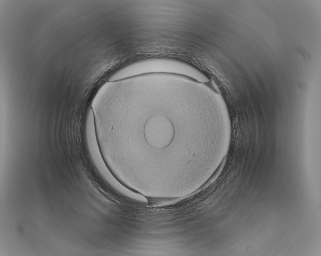 X0000110990692200907311010