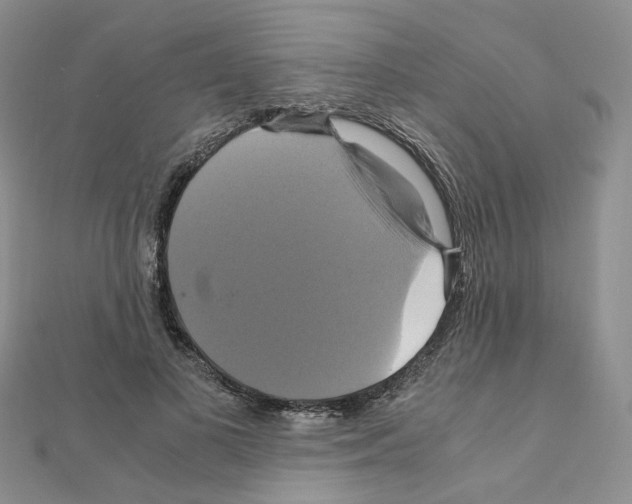 X0000110990693200907311010