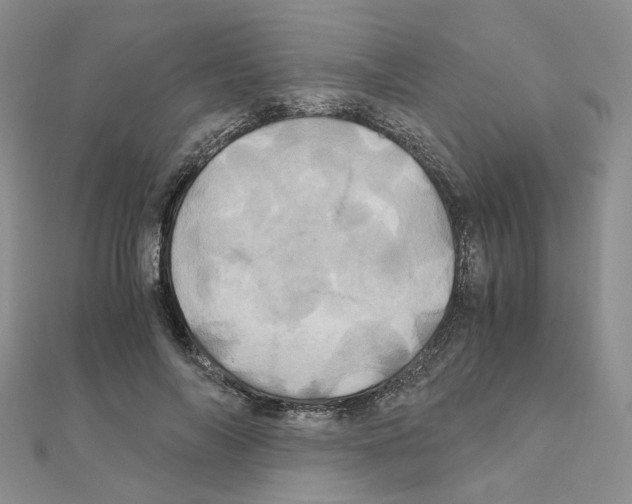 X0000110990694200907311010