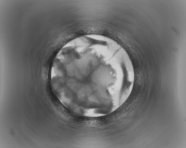 X0000110990695200907311010