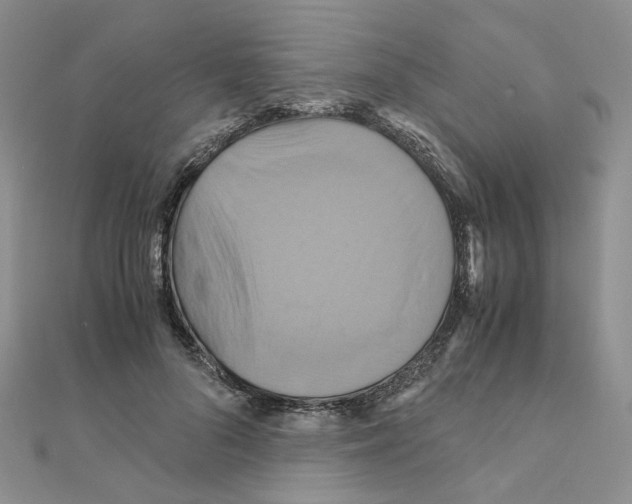 X0000110990696200907311010