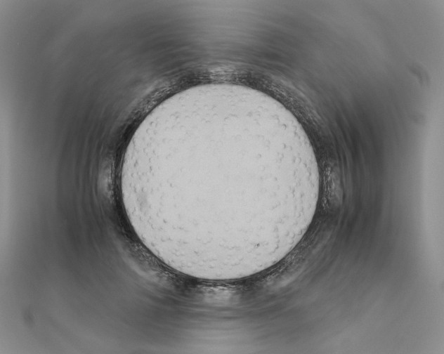 X0000110990698200907311010