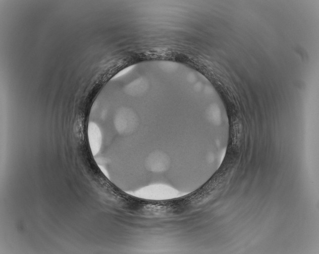X0000110990699200907311010