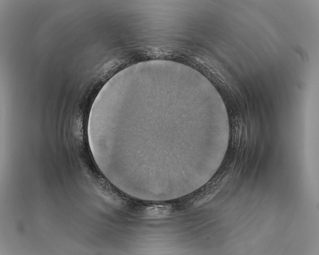 X0000110990700200907311010