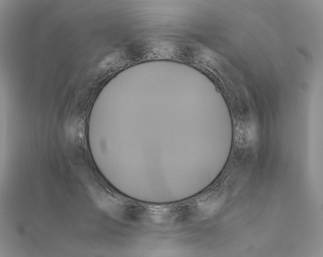 X0000110990701200907311010