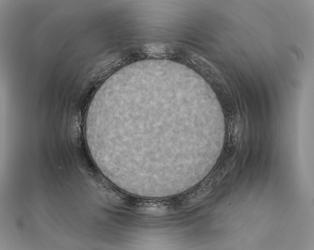 X0000110990702200907311010