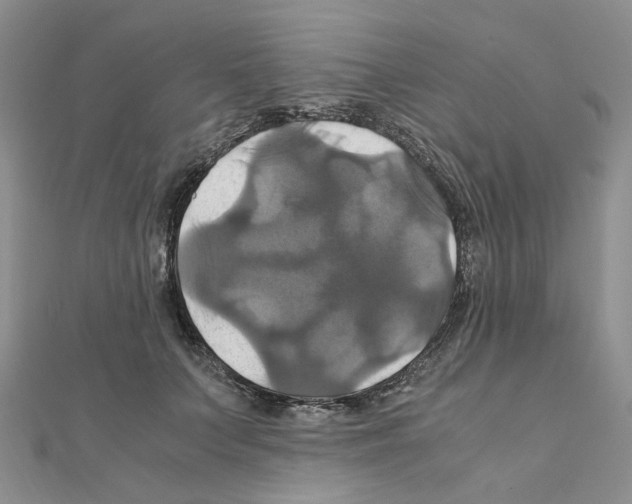 X0000110990703200907311010